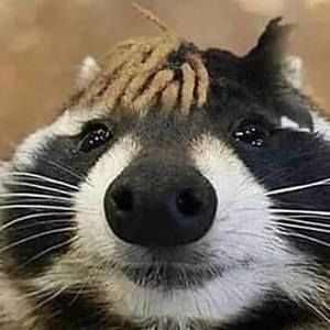 Meet your Posher, Jiahao